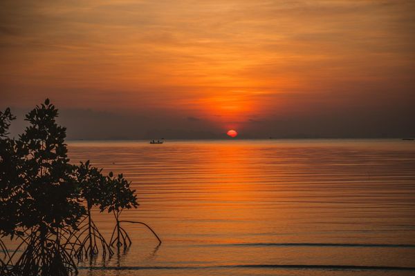 Private Sunset Shelling and Dolphin Tour - call for more info Private Sunset Shelling and Dolphin Tour - call for more info