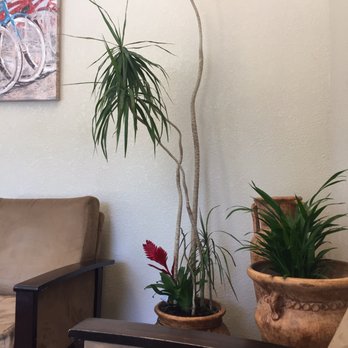 Design Dental - Endodontists Near Me - Elk Grove, California Design Dental - Endodontists Near Me - Elk Grove, California