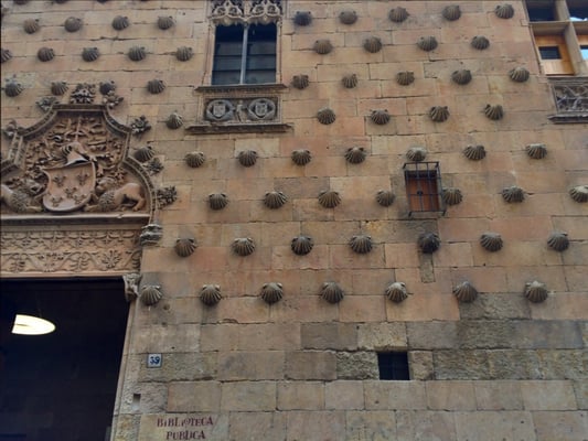 Public Library of Salamanca - Casa de las Conchas by null