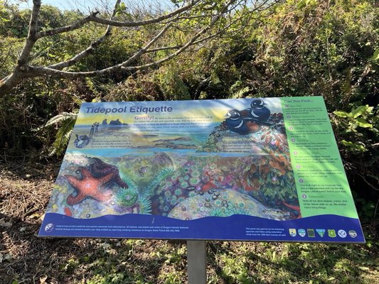 Samuel H. Boardman State Scenic Corridor by null