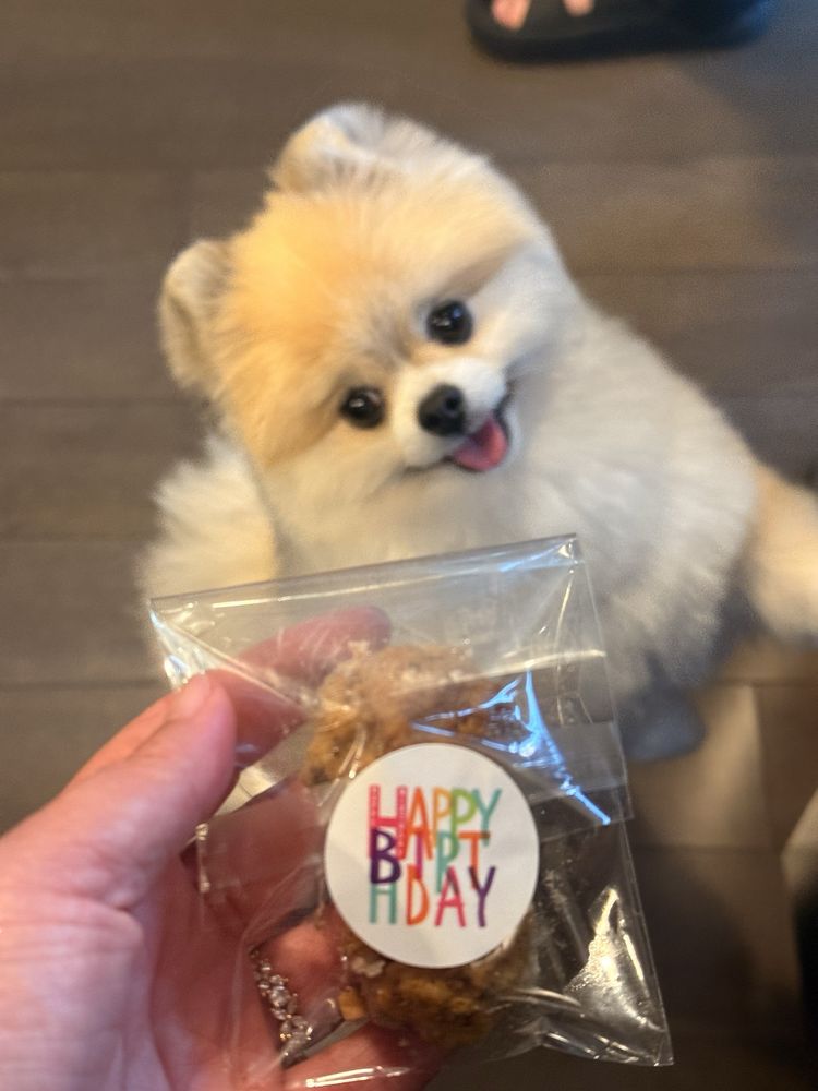 TRIM Dog Grooming & Food