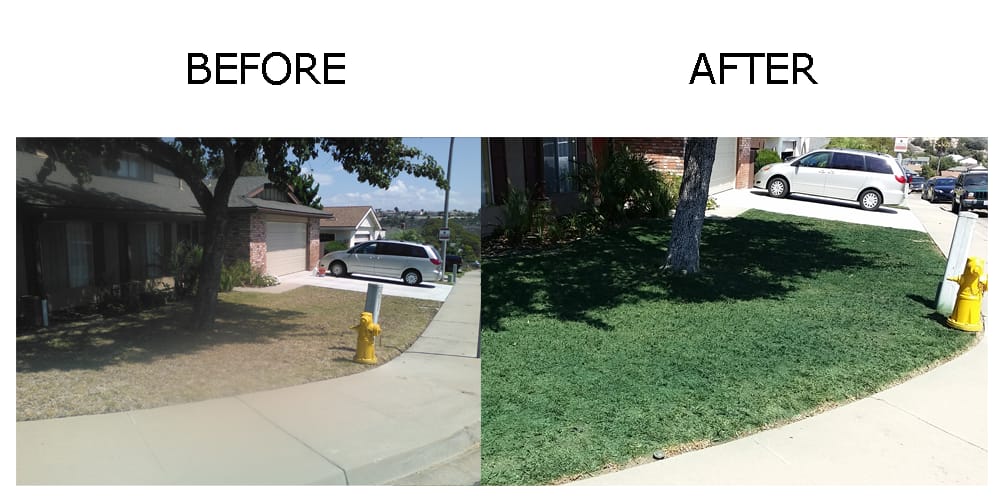 SMART LAWN PAINTING Updated August 2024 13 Photos 2339
