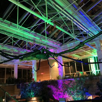 Royal Botanical Gardens - This wasn't a "real" spider but it was really hanging from the ceiling of the exhibit - Botanical Gardens Near Me - Burlington, Ontario Royal Botanical Gardens - This wasn't a "real" spider but it was really hanging from the ceiling of the exhibit - Botanical Gardens Near Me - Burlington, Ontario