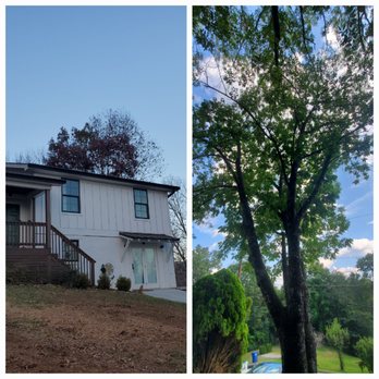 Mountain Valley Handyman - Tree Removal. Went well but a little tricky. - Landscaping Near Me
