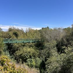 Swinging Bridge