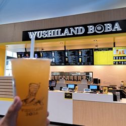 Wushiland Boba - Orange Green Tea