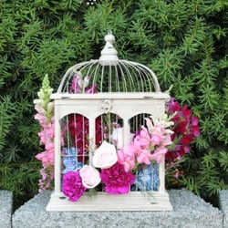 Krazy Daisy Florist