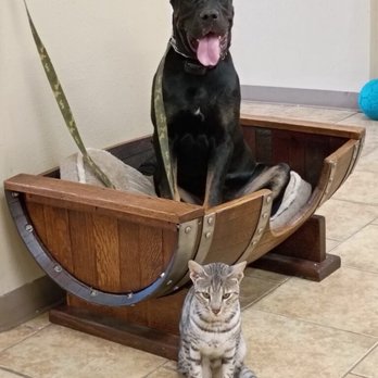 Off Leash K9 Training - Pet Training Near Me - Bakersfield, California
