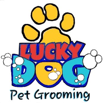 Pet Groomers Lucky Paws Pet Spa Best Lucky Dog Grooming Near Me Online