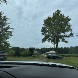 Tawas Blueberry Farm