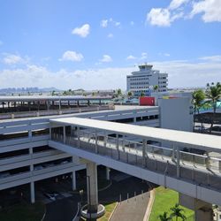 Skyline Lelepaua Station - View from platform level.