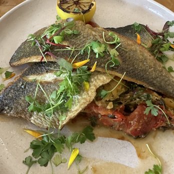 Fleur de Lis - Pan Roasted Branzino-Seared Mediterranean Sea Bass, Caramelized Lemon, Garlic White Wine Tomato Caper Ragu, Spaghetti Squash, 04.05.2023. - Breakfast & Brunch Near Me - Braselton, Georgia Fleur de Lis - Pan Roasted Branzino-Seared Mediterranean Sea Bass, Caramelized Lemon, Garlic White Wine Tomato Caper Ragu, Spaghetti Squash, 04.05.2023. - Breakfast & Brunch Near Me - Braselton, Georgia