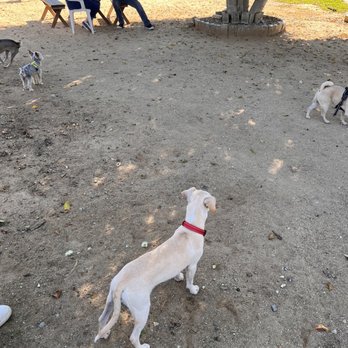Recreation Dog Park - Dog Parks Near Me - Long Beach, California Recreation Dog Park - Dog Parks Near Me - Long Beach, California