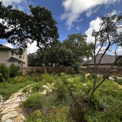 Urban Gardens - We transformed this client lawn from grass to a native landscape