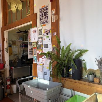 The Hidden Cafe - Inside - Coffee & Tea Near Me - Berkeley, California