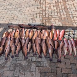 Royal Sea Excursions - Our customers recorded a limit of all kinds of spieces of snapper and a couple strawberry grouper.