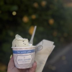 Gelato Paradiso - Vanilla and mint chip