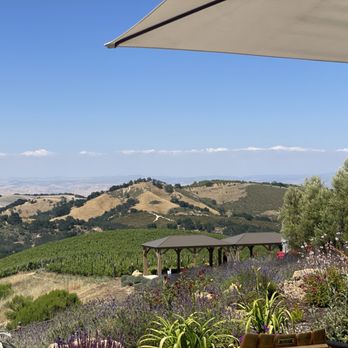 DAOU Vineyards - Wineries Near Me - Paso Robles, California DAOU Vineyards - Wineries Near Me - Paso Robles, California