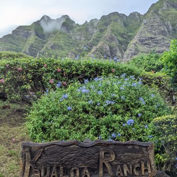 Kualoa Ranch - The front view of Kualoa Ranch! Absolutely beautiful - Tours Near Me - Kaneohe, Hawaii Kualoa Ranch - The front view of Kualoa Ranch! Absolutely beautiful - Tours Near Me - Kaneohe, Hawaii