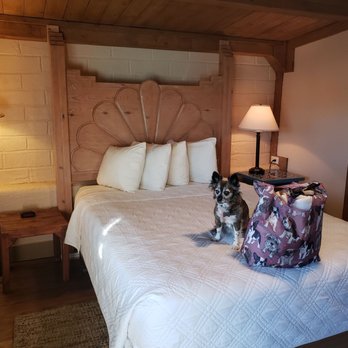 Chama Trails Motel - Frannie and the doggie bag. - Hotels Near Me - Chama, New Mexico Chama Trails Motel - Frannie and the doggie bag. - Hotels Near Me - Chama, New Mexico