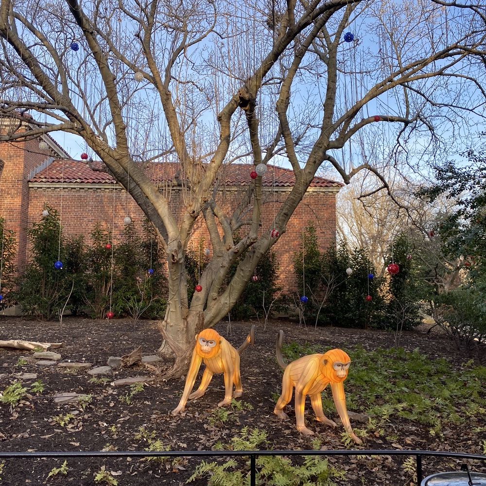ZooLights - During the day - Zoos Near Me - Washington, DC, District of Columbia