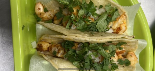 Fiesta Healthy Mexican Grill New Jersey by null