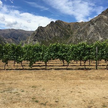 Brennan Wines - Fantastic setting in the hills - Beer, Wine & Spirits Near Me - Queenstown-lakes, WGN
