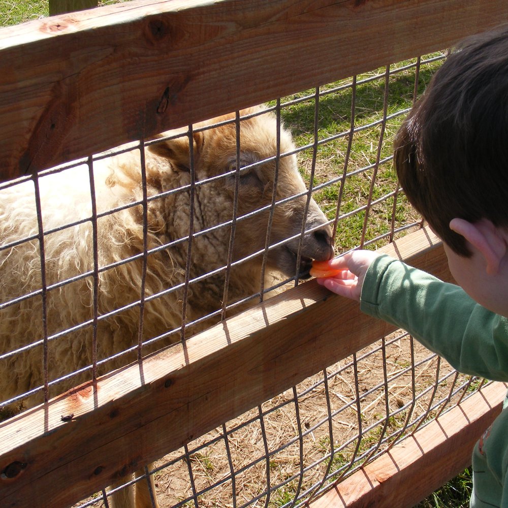Paradise Park - Zoos Near Me - Hayle, CON Paradise Park - Zoos Near Me - Hayle, CON