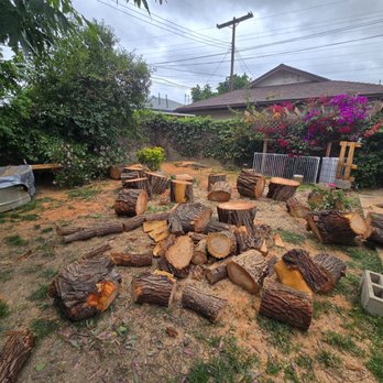Redwood Arbor Care - Tree Services Near Me Redwood Arbor Care - Tree Services Near Me