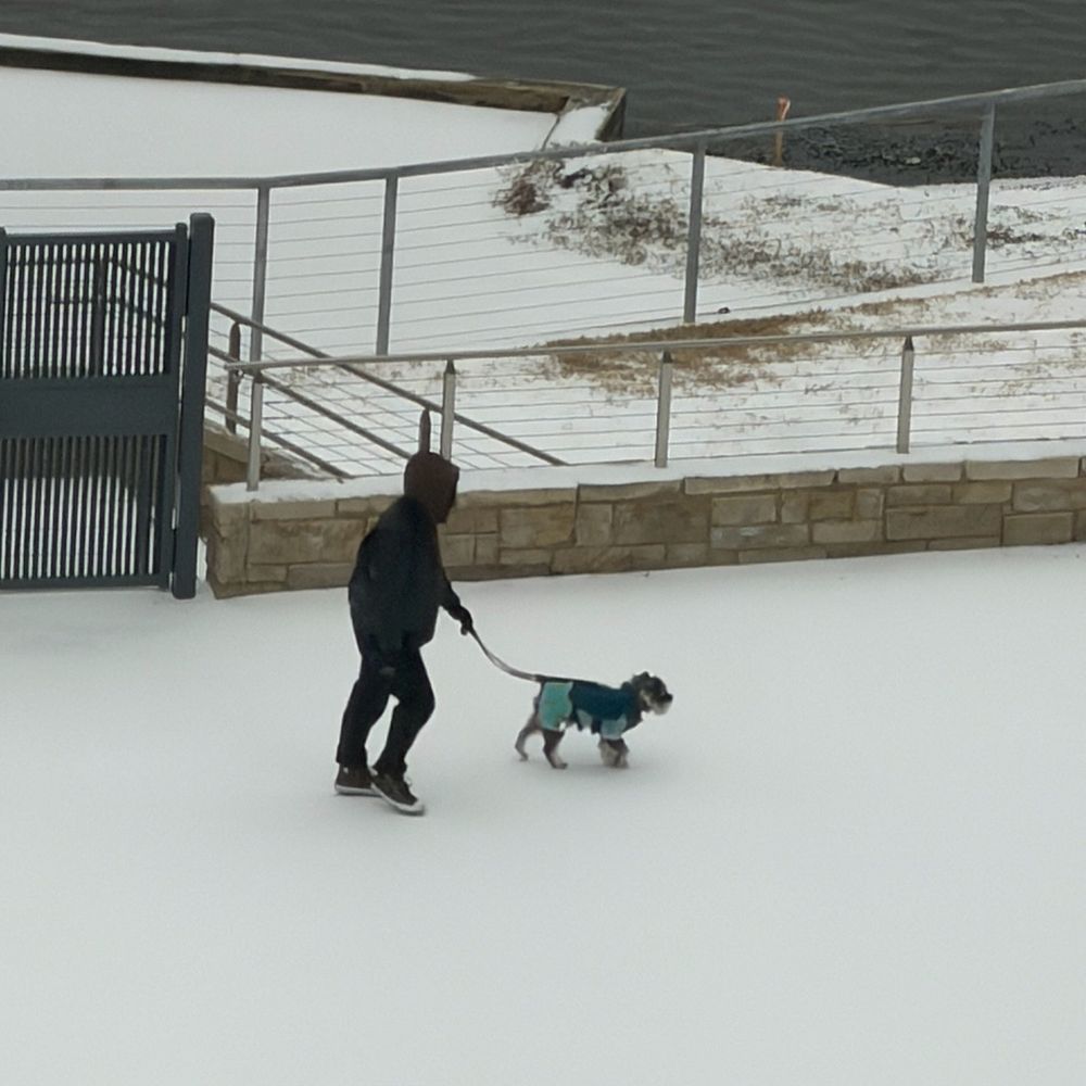 Loews - Our 2 boys taking a walk - Hotels Near Me - Arlington, Texas