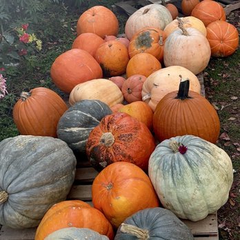Alstede Farms - Fruits & Veggies Near Me - Chester, New Jersey