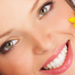 Steven Schneider, DDS