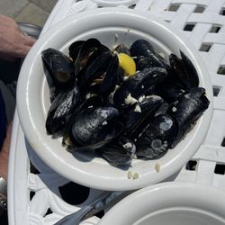 Seafood Ketch - Fresh Local Mussels