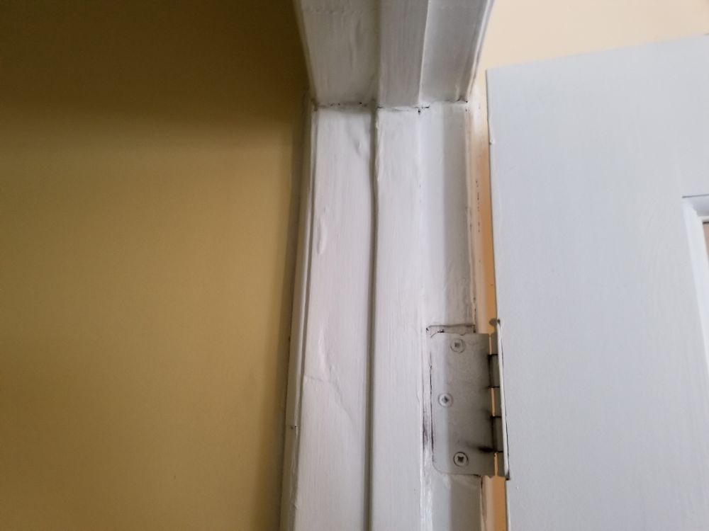 Clear Air Environmental - mold inspector in Redondo Beach, CA