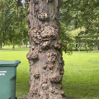 Mckinley Park - Parks Near Me - Chicago, Illinois