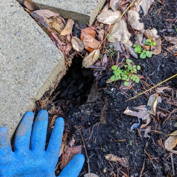 OMNI Pest Control - Pest Control Near Me - Bothell, Washington OMNI Pest Control - Pest Control Near Me - Bothell, Washington