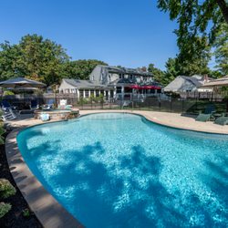 Blue Tree Landscaping - Freeform inground pool
