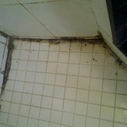 Trident Tile & Grout Cleaning - Recent shower restoration Before
