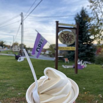 Vermont Cookie Love - a hand holding a cup of ice cream - Bakeries Near Me - North Ferrisburgh, Vermont