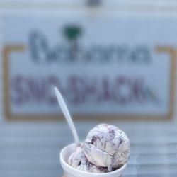 Bahama Sno Shack - 2 Scoops of the Blueberry Cheesecake PSU ice cream
