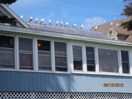 Pemaquid Seafood by null