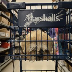 Marshalls