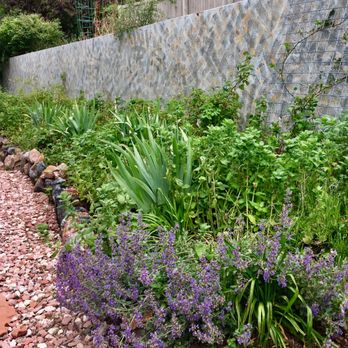Nicole Hembling - Equity Colorado - Gardener's paradise. - Real Estate Agents Near Me - Longmont, Colorado Nicole Hembling - Equity Colorado - Gardener's paradise. - Real Estate Agents Near Me - Longmont, Colorado