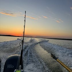 Bull River Marina - Bull River Marina- sunset cruise