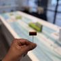 Community Experience: ROYCE' Chocolate