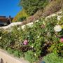 Photo of V&B Landscape