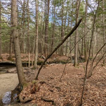 Rines Forest - Parks Near Me - Cumberland, Maine Rines Forest - Parks Near Me - Cumberland, Maine