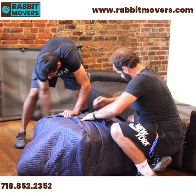Rabbit Movers photo 3