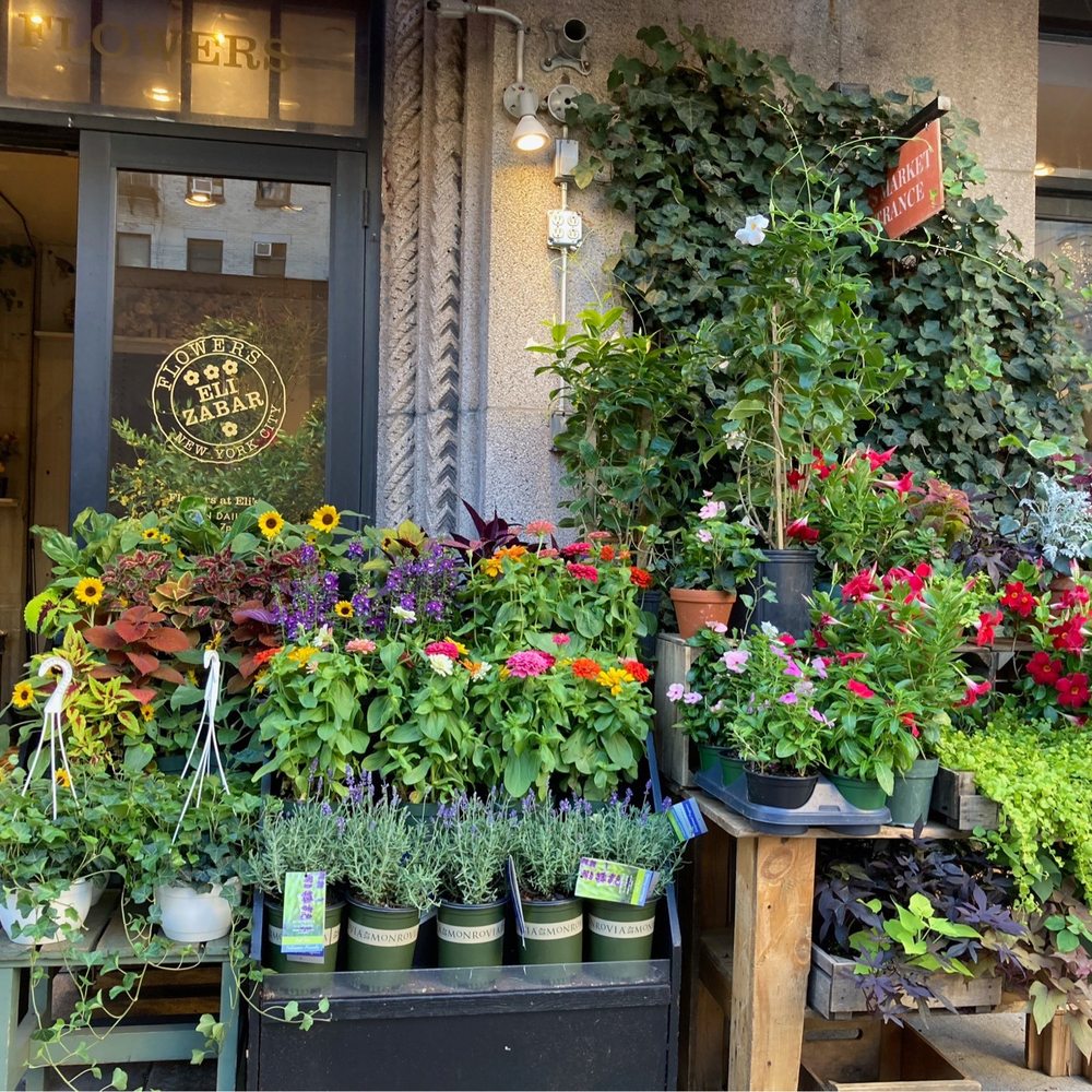 eli-zabar-lexington-ave-new-york-ny-last-updated-may-2023-yelp
