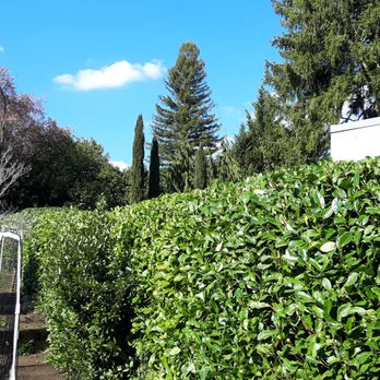 PC Landscape Services - a view of a garden - Landscaping Near Me PC Landscape Services - a view of a garden - Landscaping Near Me